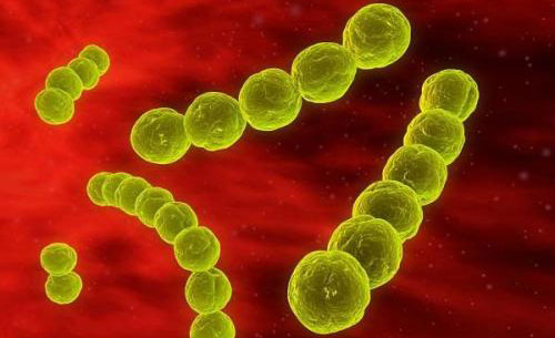 �ɺ��ȴ�Ⱦ�� �ɺ���֢״����Щ